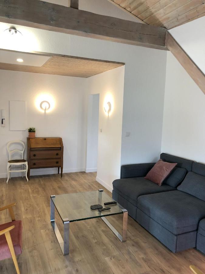 L'Hirondelle - Charming Flat - Apartman Blotzheim Kültér fotó